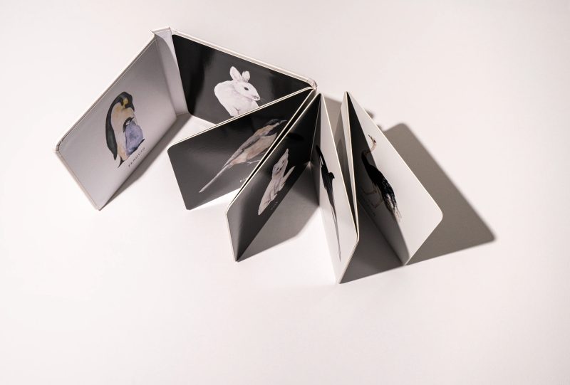 Контрастная книга для малышей / Baby’s Black & White Contrast Book