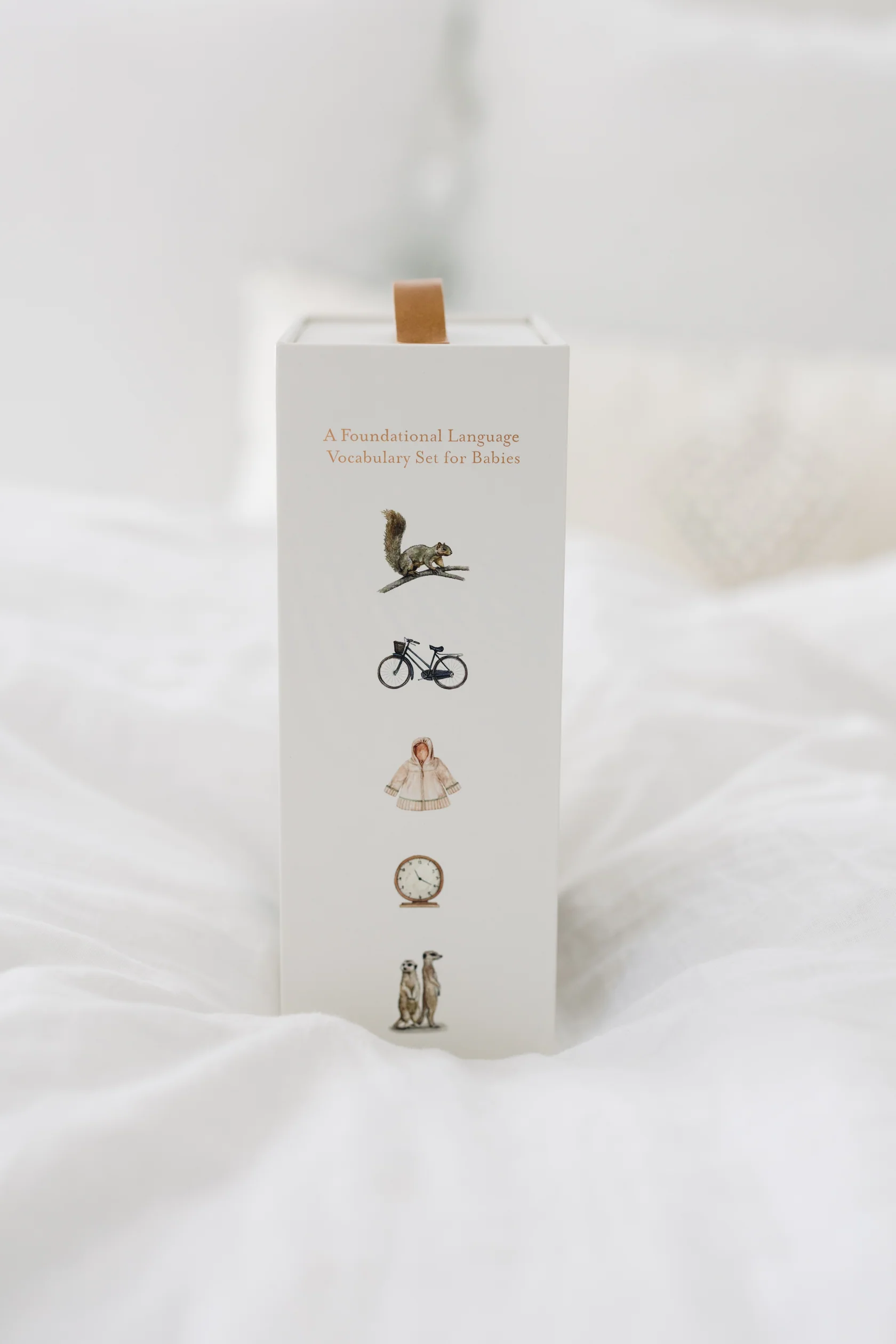 Моя очень маленькая библиотека / Our Very Little Library