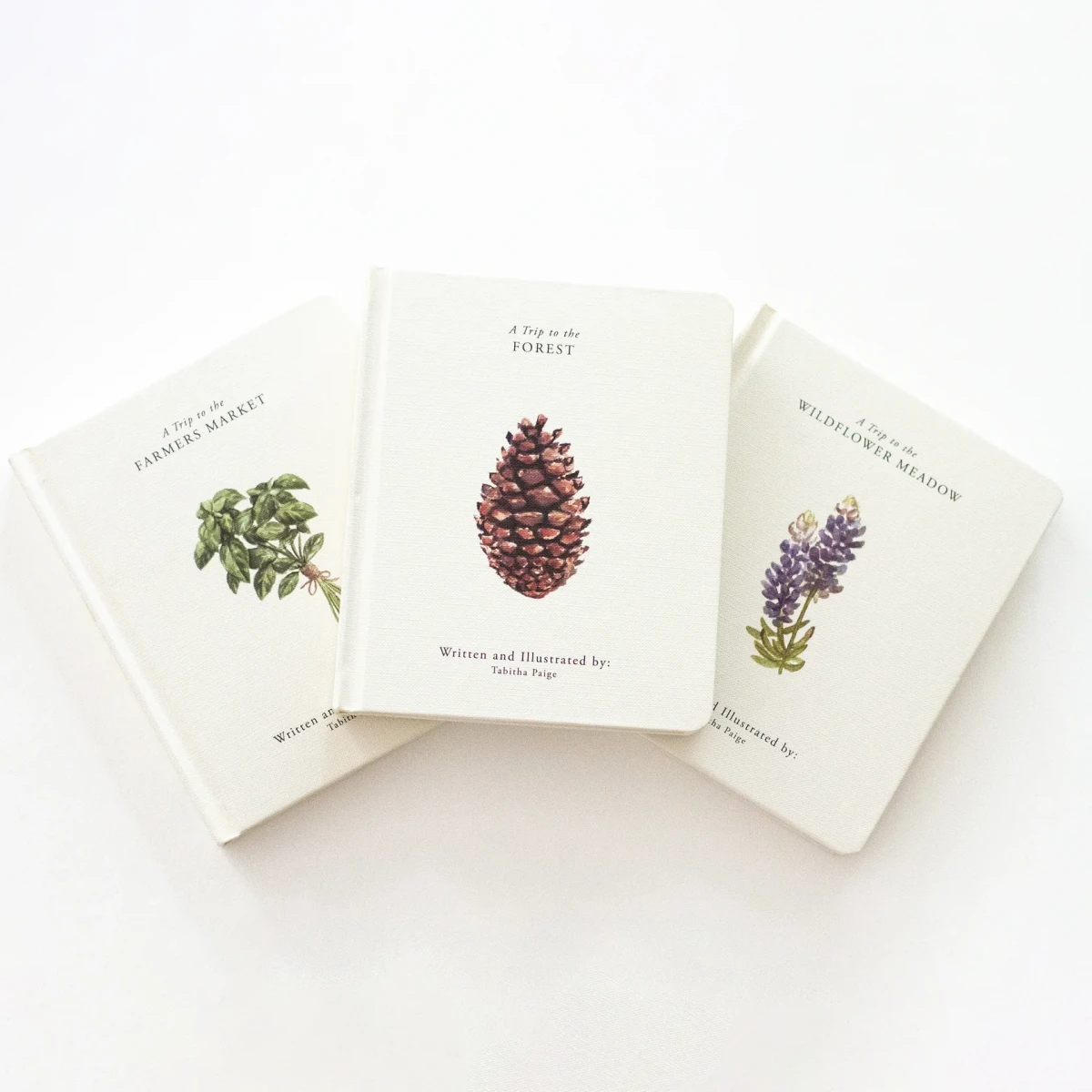 Наши маленькие приключения (набор из 3 книг) / Our Little Adventures Book Set