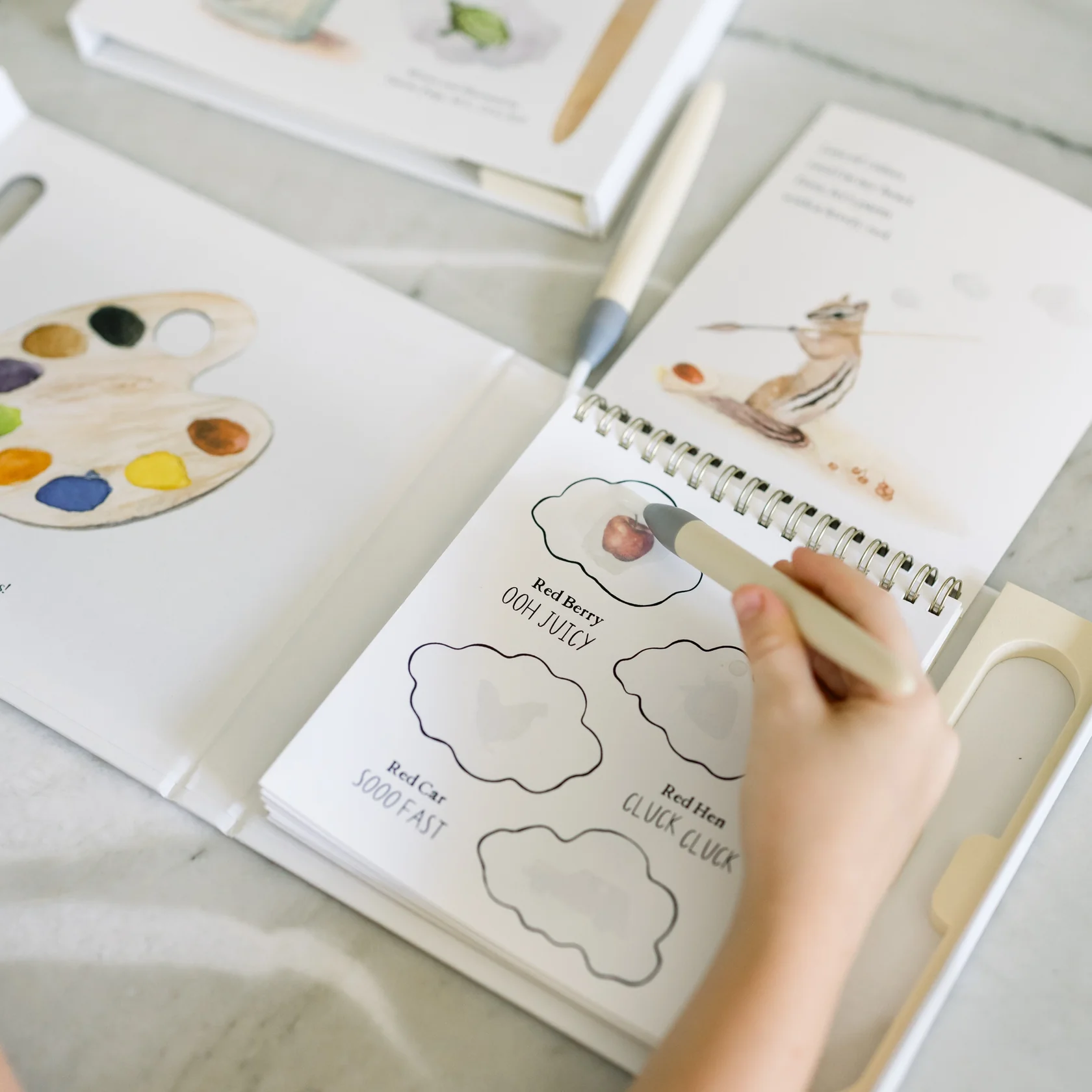 Wishy Washy: водная раскраска / Wishy Washy (Water Reveal Edition)